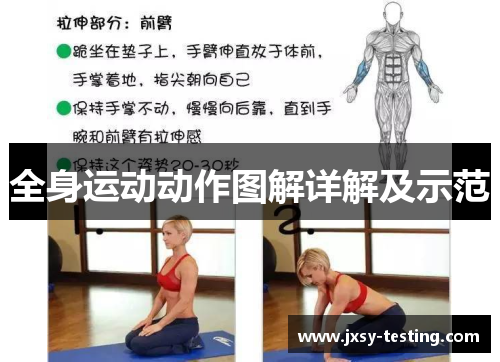 全身运动动作图解详解及示范