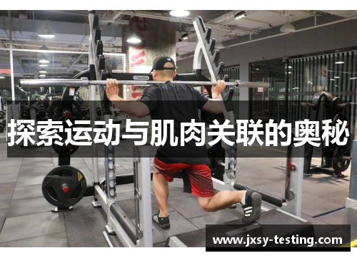 探索运动与肌肉关联的奥秘